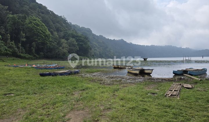 Jual Murah Tanah Di Bali Utara, Desa Munduk