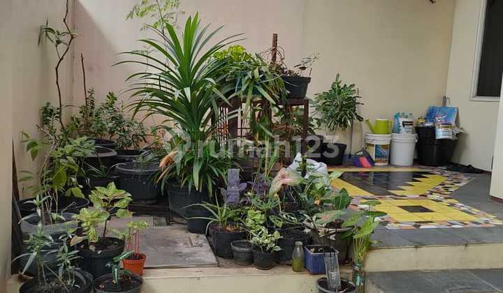 Dijual Rumah di Duri Kepa, Jakarta Barat Luas Tanah 130 M2 ( 6,5 X 20 ) Sertifikat SHM Hadap Selatan