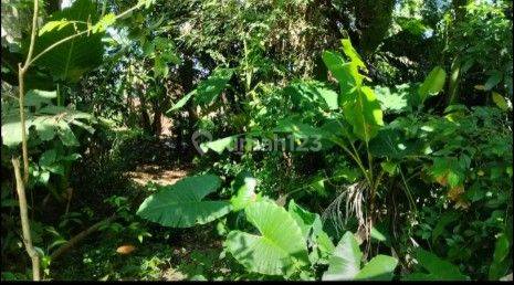 Dijual Tanah Tepi Jalan Area Tajur Halang Kecamatan Citayam 6