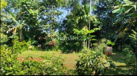 Dijual Tanah Tepi Jalan Area Tajur Halang Kecamatan Citayam 7