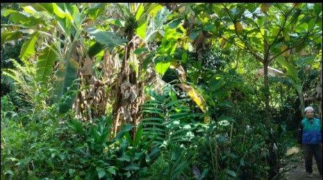 Dijual Tanah Tepi Jalan Area Tajur Halang Kecamatan Citayam 8