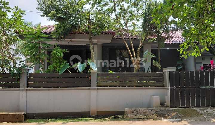 Termurah Rumah Cantik Di Huk/ Pojok. Cocok Utk Usaha, Dekat Sekolah Pelita Insani, Dinamika Umat, Madania, Marsudirini , Akses Ke Jln Bojonggede-kemang, Stasiun Krl Bojonggede, Pintu Tol Kayumanis (semplak), 2028 Dekat Pintu Tol Jorr 3 Bogor-serpong 