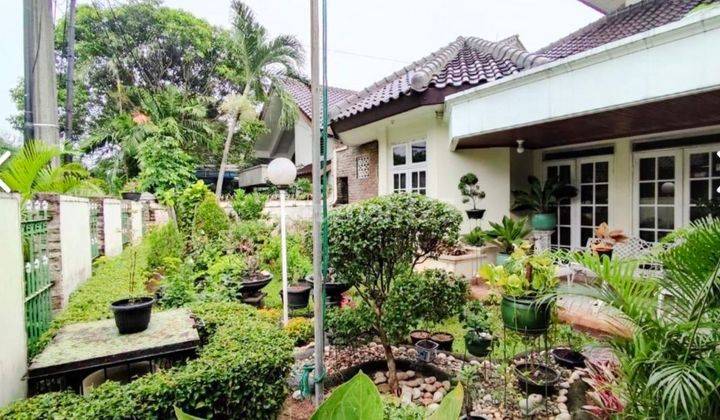 Rumah Bagus, Siap Huni, Asri di Pejaten, Pasar Minggu, Jakarta ⬇ 1