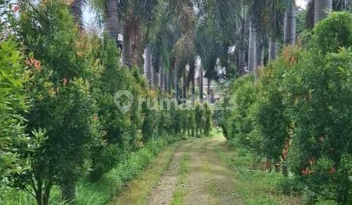 Dijual Cepat!! Kavling Luas, +_ 1 Ha , Bonus Rumah di Jl. Raden Saleh, Karang Tengah, Kota Tangerang, Banten