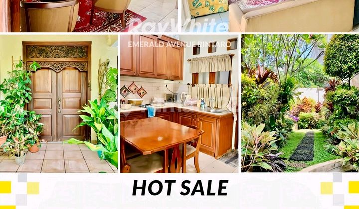 Turun Harga!! Rumah Asri, Lokasi Strategis; Dekat Stasiun MRT, Pusat Bisnis, Sekolah, Dll di Kebayoran Baru, Jakarta Selatan Turun Harga!! Rumah Asri, Lokasi Strategis; Dekat Stasiun MRT, Pusat Bisnis, Sekolah, Dll di Kebayoran Baru, Jakarta Selatan