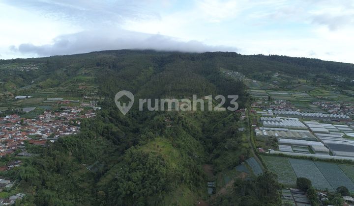 Resort Plot Lembang Area 100000M West Bandung