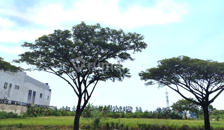 Kavling Sentra Niaga Luas 20X50 1000M Harapan Indah Bekasi Kavling Sentra Niaga Luas 20X50 1000M Harapan Indah Bekasi