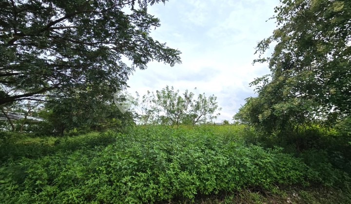 Kavling Dikawasan Industri Greenland Luas 11118M Delta Mas Cikarang Kavling Dikawasan Industri Greenland Luas 11118M Delta Mas Cikarang