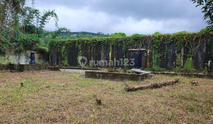 Tanah jalan utama Denpasar Bedugul Baturiti 2