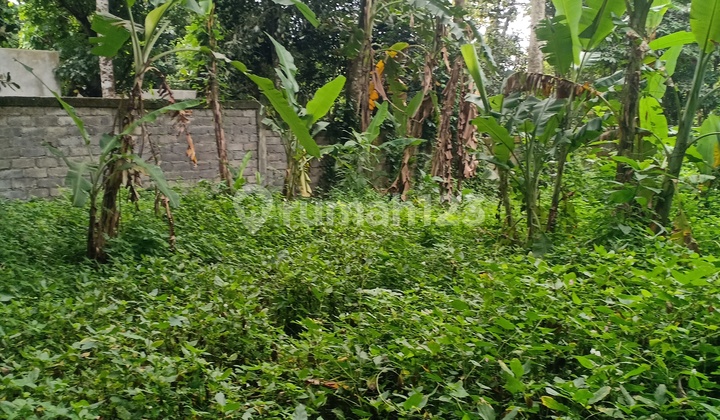 River los land close to Seseh and Canggu