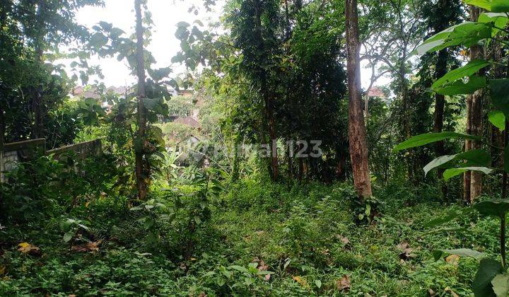 Tanah los sungai dekat ke Seseh dan Canggu 1