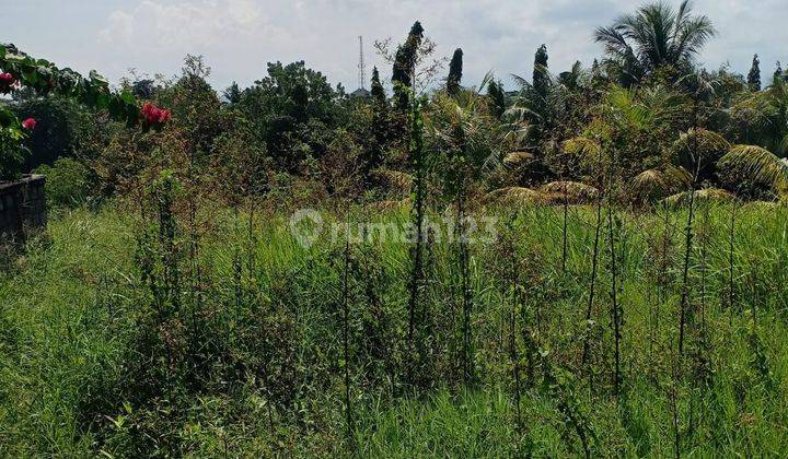 Tanah kosong view sawah dan sungai di cemagi 1