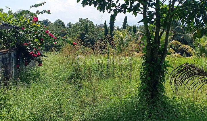 Tanah kosong view sawah dan sungai di cemagi 2