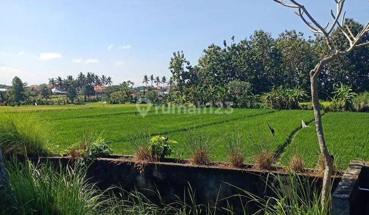 Villa with views of eternal rice fields and spacious gardens in Ubud 2