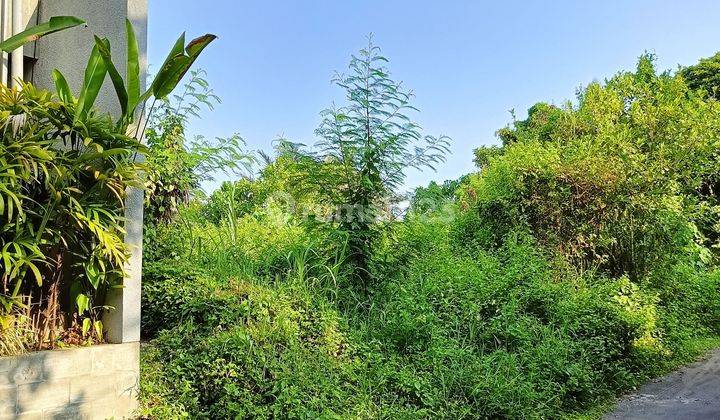 Tanah pinggir pantai Rangkan dekat pantai Pabean Ketewel 1