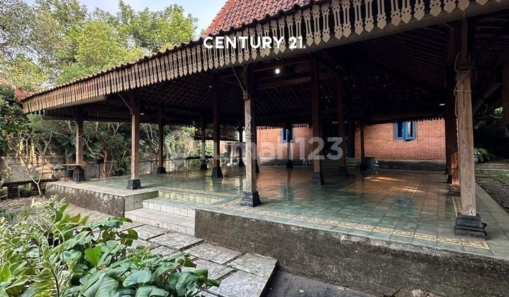 Rumah Joglo dengan Pendopo Tanah Luas Cocok untuk Usaha Ut 14316