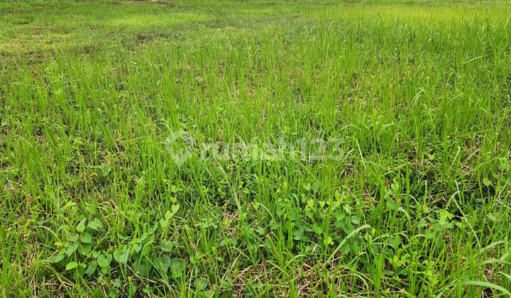 Cuma Ada Satu !!! Jual Kavling Badan Suvarna Sutera 12 X 20