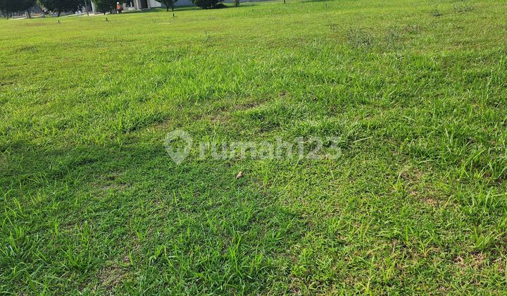 Quick Sale !! Suvarna Sutera Body Plot 10 X20