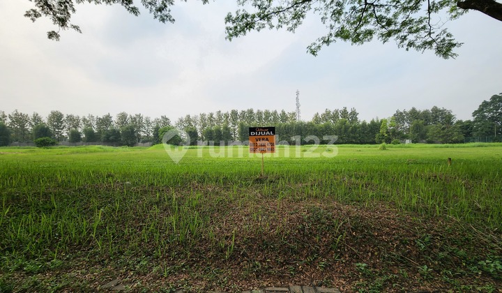 Cheap Sale!! Plot on Boulevard Suvarna Padi Street Near Sport Club Cheap Sale!! Plot on Boulevard Suvarna Padi Street Near Sport Club