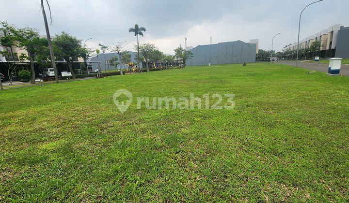 Rare Find !! Plot Size 8x20 Suvarna Sutera Rare Find !! Plot Size 8x20 Suvarna Sutera