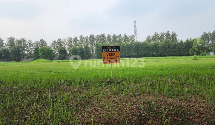 Cheap Sale!! Plot on Boulevard Suvarna Padi Street Near Sport Club Cheap Sale!! Plot on Boulevard Suvarna Padi Street Near Sport Club