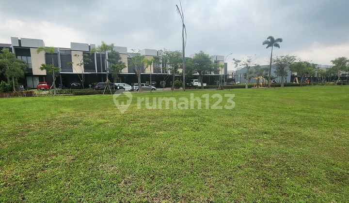 Rare Find !! Plot Size 8x20 Suvarna Sutera Rare Find !! Plot Size 8x20 Suvarna Sutera