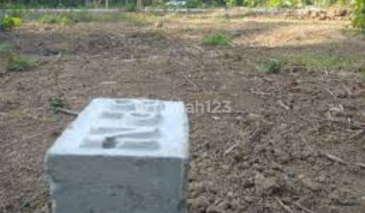 15 Menit Pasar Wates Dijual Tanah Murah Jogja, Lt 125 M2 4