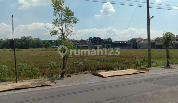 Tanah Godean Jogja, Mangku Jalan Utama 6m, View Sawah Lokasi Asri 4