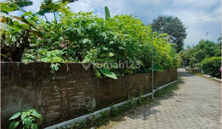 Pekarangan Belakang Kantor Kecamatan Salam, Luas 1000an 2