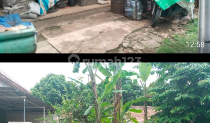 Jual Rumah Kemang Bayar Harga Tanah Aja Kemang Barat Jakarta Selatan 2
