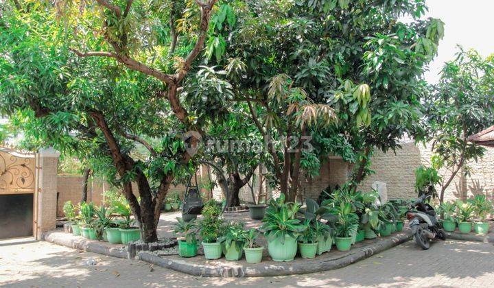Fullfurnished Rumah Dekat Bank Bca Rumah Luas Nyaman Fullfurnished Siap Pakai Nego Semaunya 2
