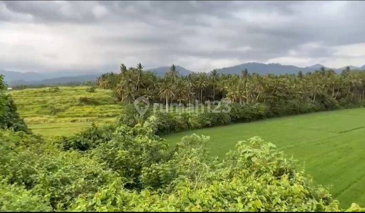 Tanah View Gunung, Sawah, Pantai, Sungai 1