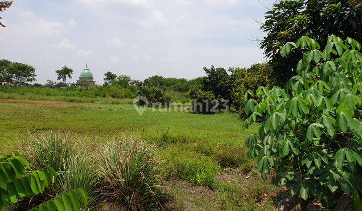 Tanah sdh urug & tembok keliling 4