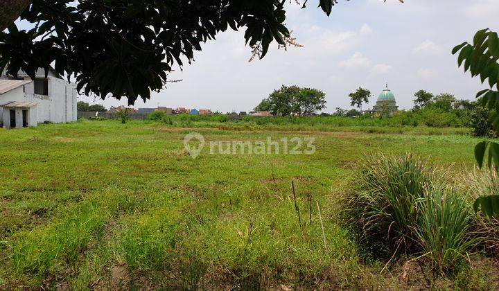 Tanah sdh urug & tembok keliling 5