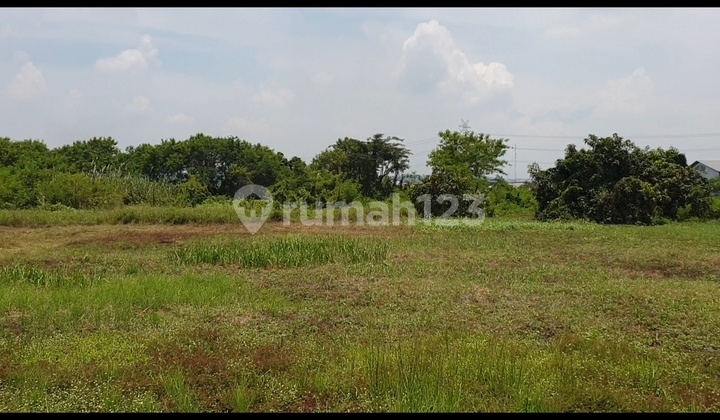 Tanah sdh urug & tembok keliling 7