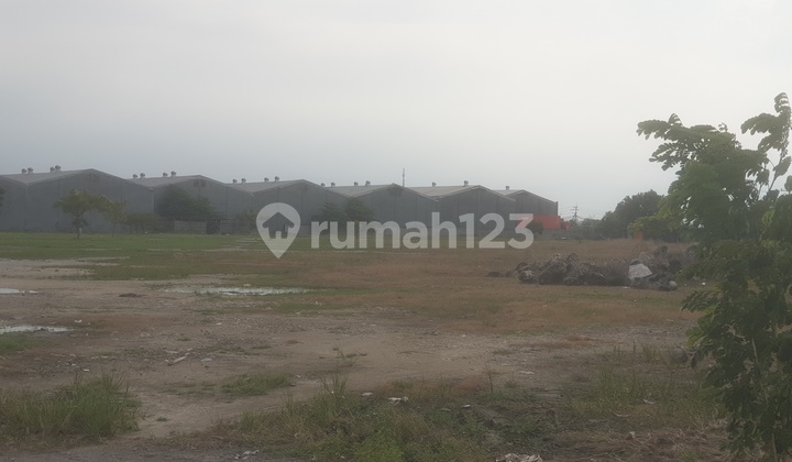 Lahan Sudah Urug & Tembok Keliling 2