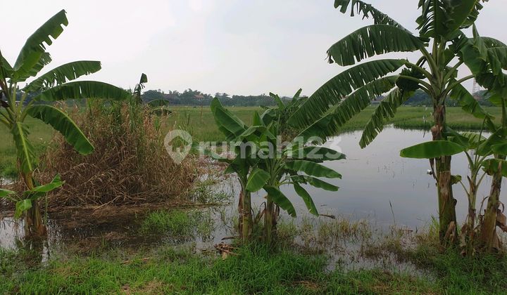 Lahan Dekat Sungai, Dekat Bandara & Daerah Industri