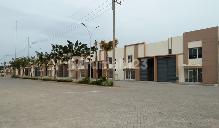 Sunbiz New Exclusive Low-Cost Warehouse