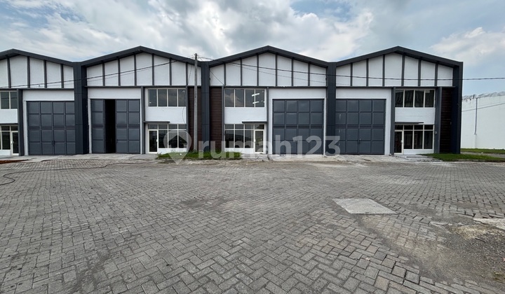 Termurah New Gudang Eksklusif Sunbiz