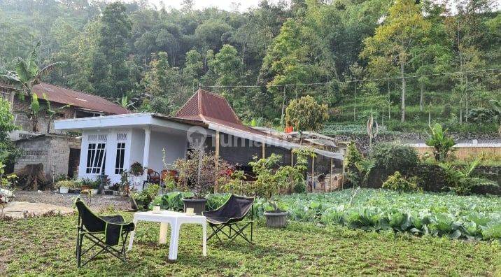 Rumah villa dengan kebun luas di kawasan wisata di Ngargoyoso Kemuning 1