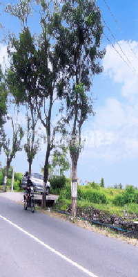 tanah pekarangan pinggir jalan raya di solo baru siap bangun tanah pekarangan pinggir jalan raya di solo baru siap bangun