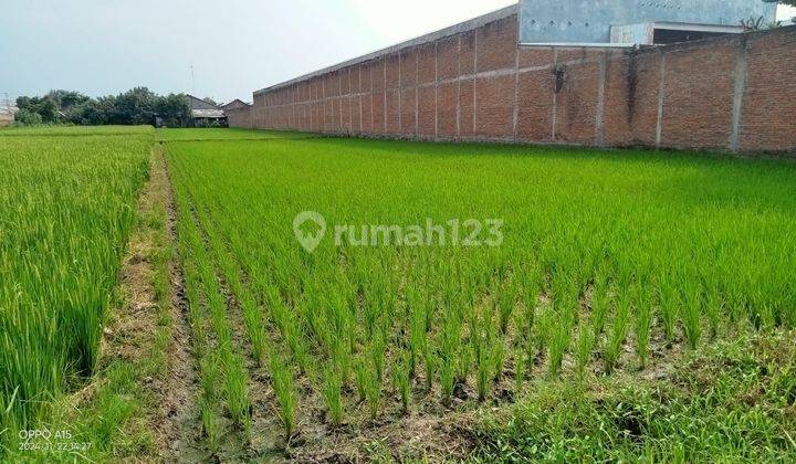 Tanah 2500 m² Di Trangsan Gatak Cocok Untuk Pabrik Di Zona industri 1