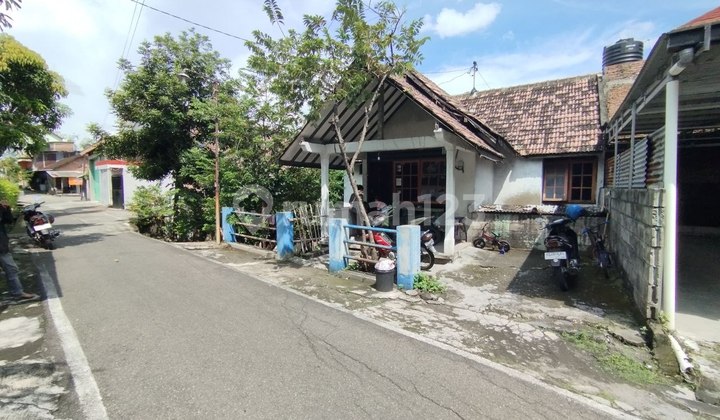 Rumah Murah Lahan Luas 174 M2 Di Mojosongo Jebres 2