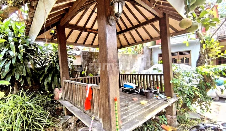 Rumah Solo Baru Turun Harga Drastis Dibawah Pasar 2