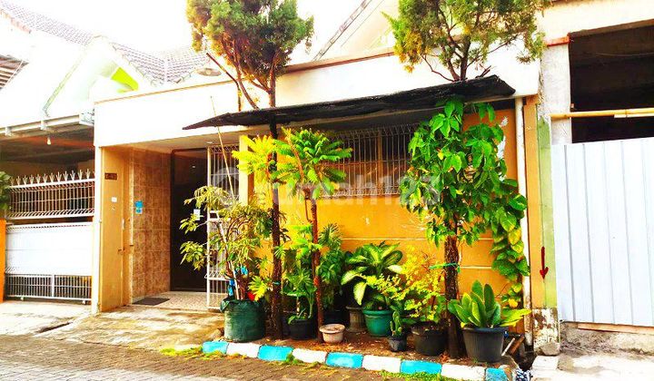 Rumah Murah Di Belakang Fave Hotel Solo Baru Rumah Murah Di Belakang Fave Hotel Solo Baru