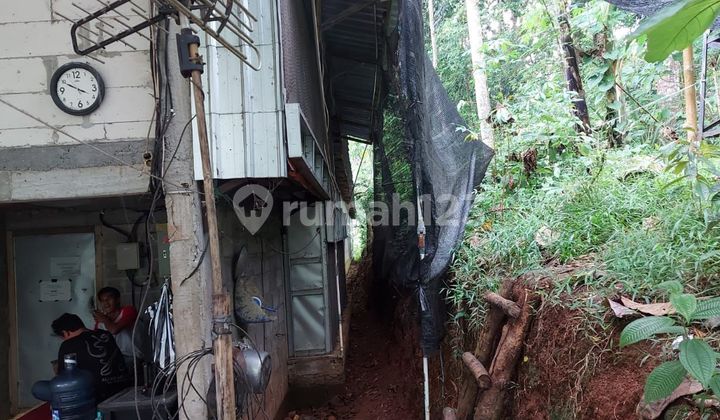 Active Chicken Livestock Business Space Along With Land And Its Buildings