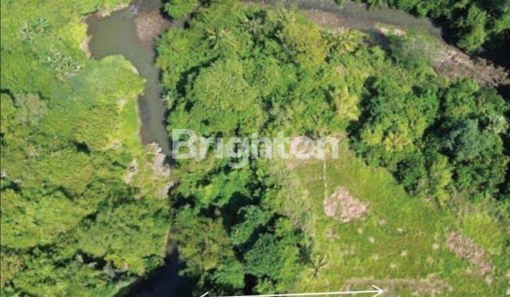 LUXURY LAND WITH NATURAL VIEWS IN GIANYAR 2