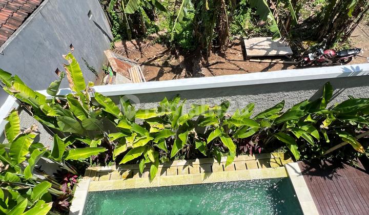 Disewakan Villa Full Furnished Area Abiansemal Badung Disewakan Villa Full Furnished Area Abiansemal Badung