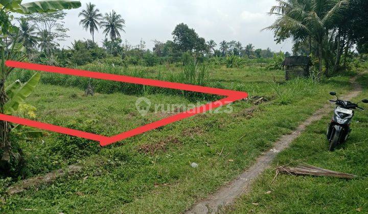 Tanah View Merapi Dan Sawah Luas 597m2 di Jl Palagan Km 15 1