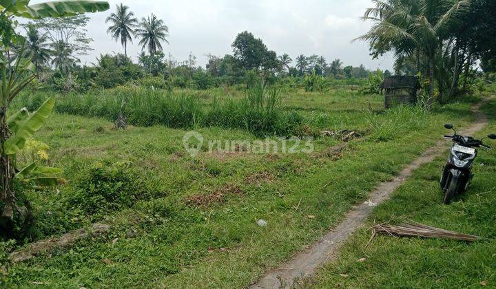 turun harga jual tanah luas 597m2 dibarat jl palagan km 15 view sawah 1